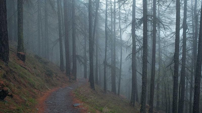 Lean Six Sigma Green Belt Bootcamp